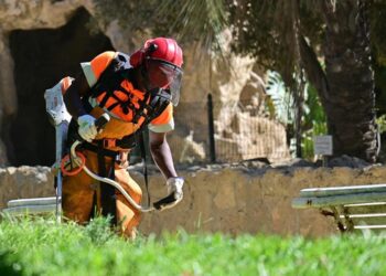 Jardinero en el Parque Genovés / FOTO: Eulogio García