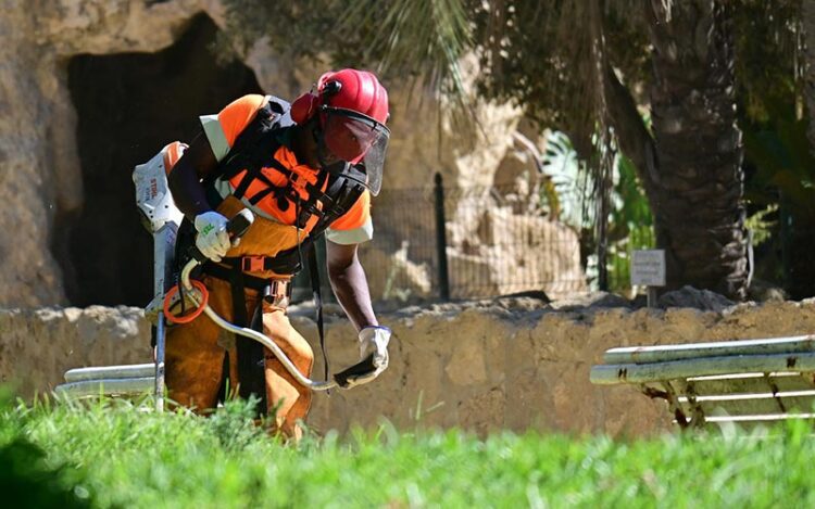 Jardinero en el Parque Genovés / FOTO: Eulogio García