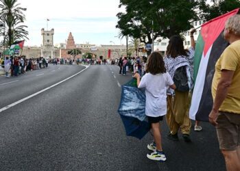 Avanzando en la cadena humana / FOTO: Eulogio García