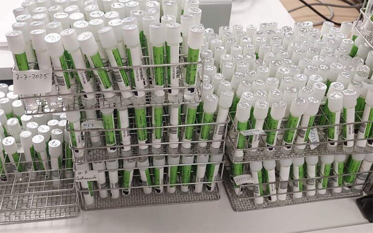 Muestras pendientes en una foto compartida por CCOO en agosto