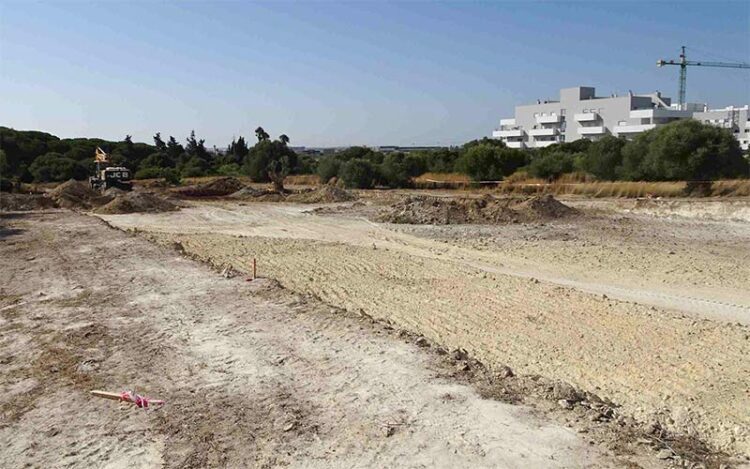 Maquinaria arrancando acebuches y lentiscos / FOTO: Ecologistas en Acción