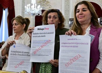 Trabajadoras advirtiendo con carteles de la sospechosa Óbolo en el pleno de mayo / FOTO: Eulogio García
