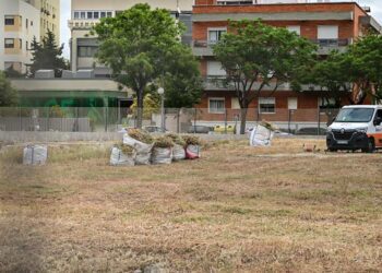 La parcela en la que se levantará el edificio se limpia periódicamente / FOTO: Eulogio García