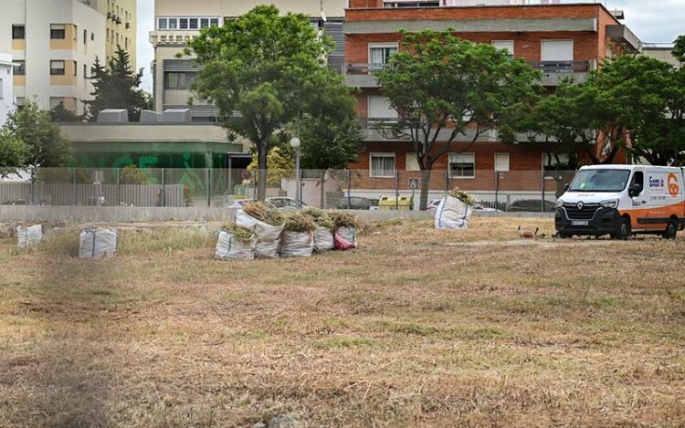 La parcela en la que se levantará el edificio se limpia periódicamente / FOTO: Eulogio García