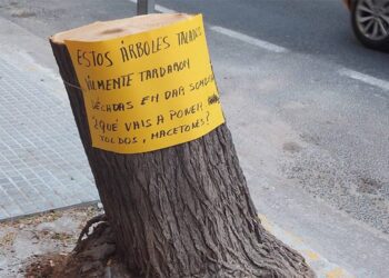 Cartelería denunciando el arboricidio / FOTO: plataforma El Árbol