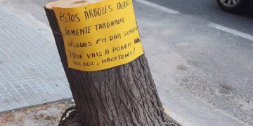 Cartelería denunciando el arboricidio / FOTO: plataforma El Árbol