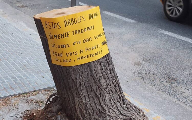 Cartelería denunciando el arboricidio / FOTO: plataforma El Árbol