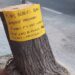 Cartelería denunciando el arboricidio / FOTO: plataforma El Árbol