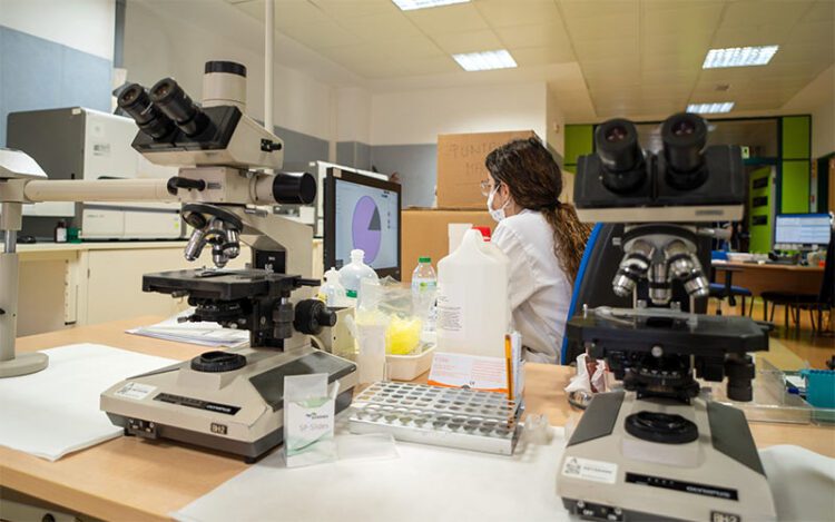 En un laboratorio del INiBICA / FOTO: Junta