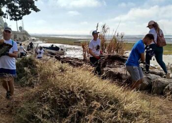 Unos 40 voluntarios se sumaron a la limpieza colectiva / FOTO: cedida