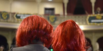 Público disfrazado en el patrio butaca del Falla / FOTO: DBC