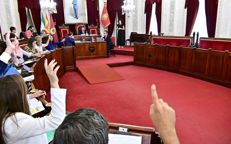 El pleno continuó unos minutos sin nadie en la oposición / FOTO: Eulogio García