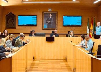 Un momento del pleno extraordinario / FOTO: Ayto.