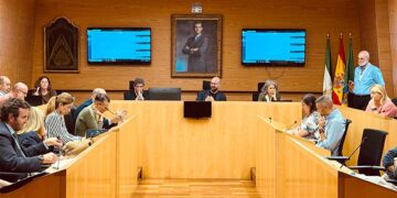 Un momento del pleno extraordinario / FOTO: Ayto.