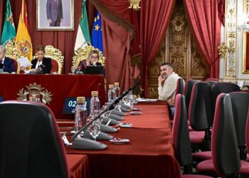 Todos los diputados del PSOE, salvo su portavoz, abandonaron el pleno / FOTO: Eulogio García