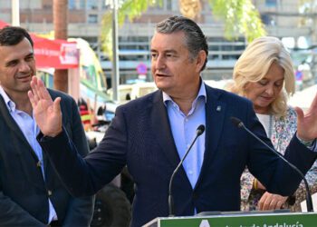 El consejero Sanz en una pasado acto en la capital gaditana / FOTO: Eulogio García