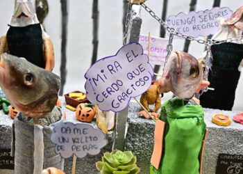 FOTO: Eulogio García