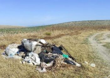 Una de las imágenes que respaldan la denuncia de Ecologistas