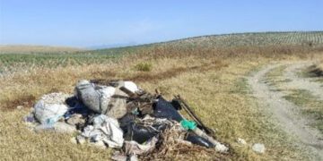Una de las imágenes que respaldan la denuncia de Ecologistas