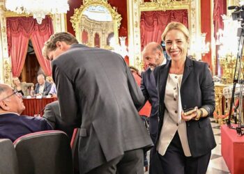 La presidenta de la Diputación entrando en un pasado pleno / FOTO: Eulogio García