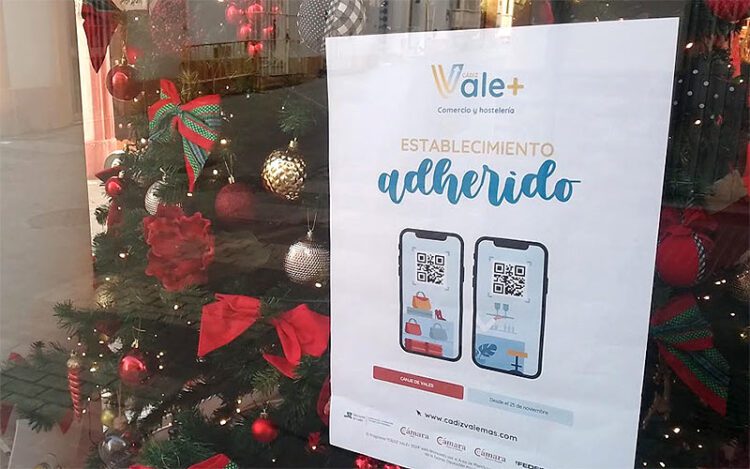 Cartel en un escaparate durante la campaña 2024 / FOTO: DBC