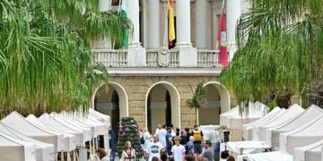 El Ayuntamiento, al fondo / FOTO: Eulogio García