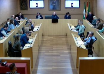 Un momento del pleno extraordinario / FOTO: Ayto