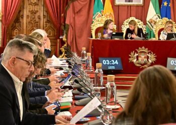 Bancada popular en un momento del pleno / FOTO: Eulogio García