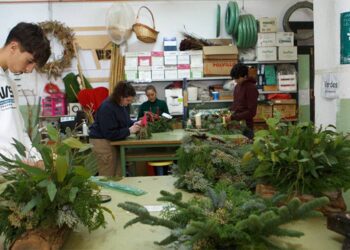 En clase de un ciclo de jardinería / FOTO: Junta