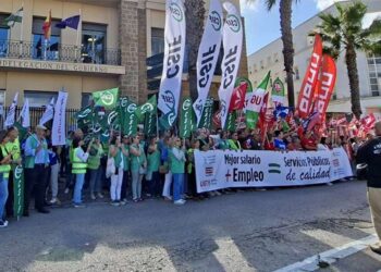 Delegados sindicales de CSIF, CCOO y UGT concentrados en la Subdelegación / FOTO: CSIF