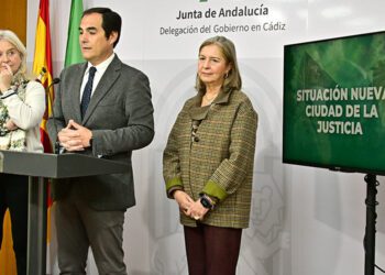 El consejero Nieto en su rueda de prensa en Cádiz / FOTO: Eulogio García