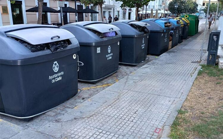 Isla de contenedores en Canalejas / FOTO: DBC