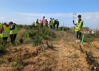 Escolares participando en labores de repoblación del pinar / FOTO: Ayto.