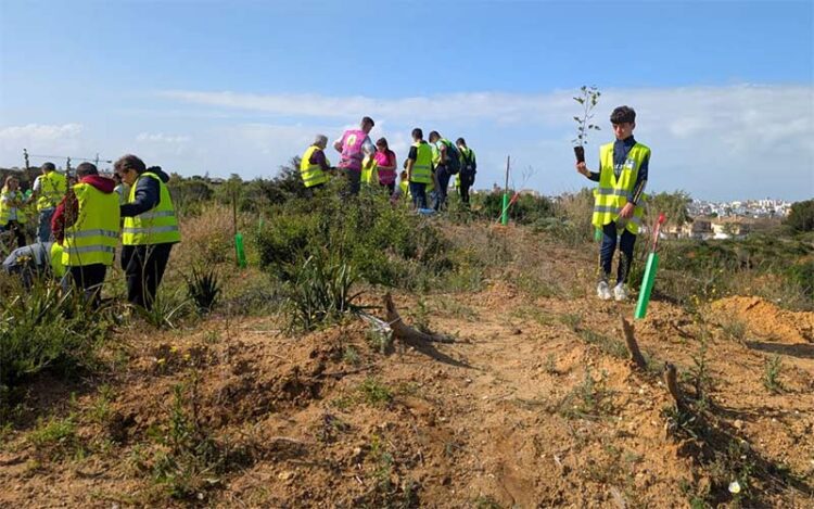 Escolares participando en labores de repoblación del pinar / FOTO: Ayto.