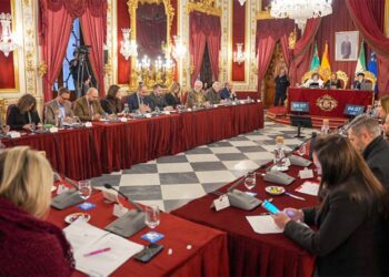 Un momento del pleno pre-navideño / FOTO: Diputación