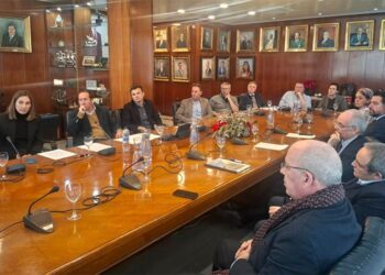 Reunión del Pleno de la Zona Franca / FOTO: Zona Franca