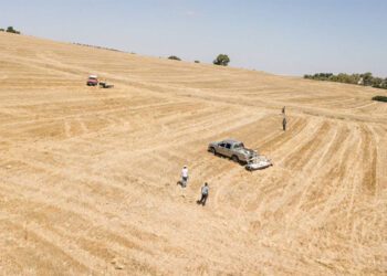 Trabajos sobre el terreno de la Universidad de Cádiz años atrás / FOTO: UCA