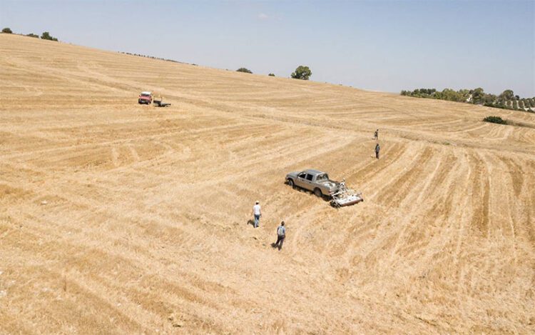 Trabajos sobre el terreno de la Universidad de Cádiz años atrás / FOTO: UCA