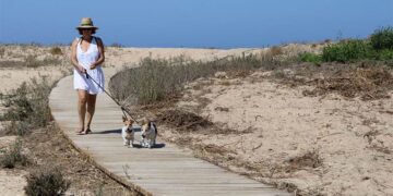 Disfrutando de la playa canina / FOTO: Ayto.