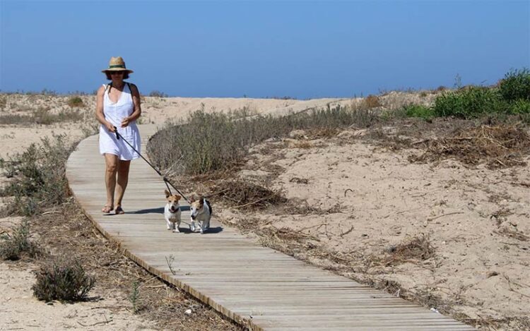 Disfrutando de la playa canina / FOTO: Ayto.