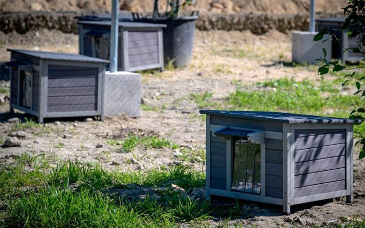 Gateras montadas en una parcela junto a Servisa / FOTO: Ayto.