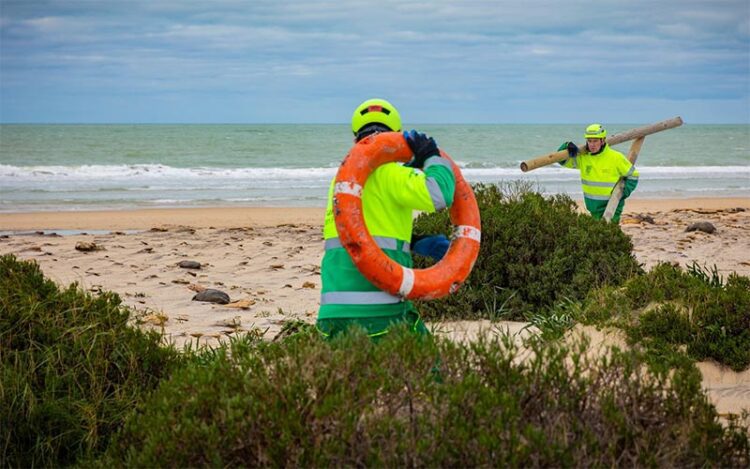 Operarios de limpieza retirando la basura dejada por los temporales / FOTO: Ayto.