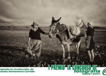 La obra ganadora / FOTO: CSIF