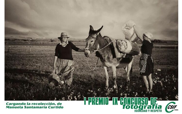 La obra ganadora / FOTO: CSIF