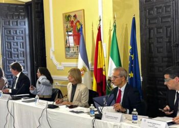 Un momento de la reunión de la Junta de Gobierno / FOTO: FEMP