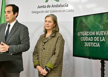 La delegada territorial junto al consejero en una pasada rueda de prensa / FOTO: Eulogio García