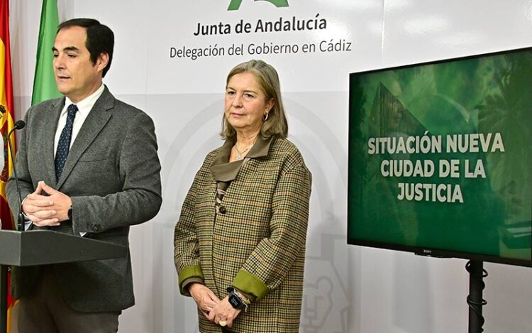 La delegada territorial junto al consejero en una pasada rueda de prensa / FOTO: Eulogio García
