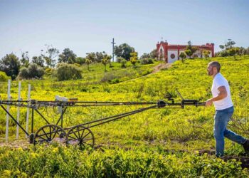 Un momento del trabajo de campo en El Cerro / FOTO: Ayto.