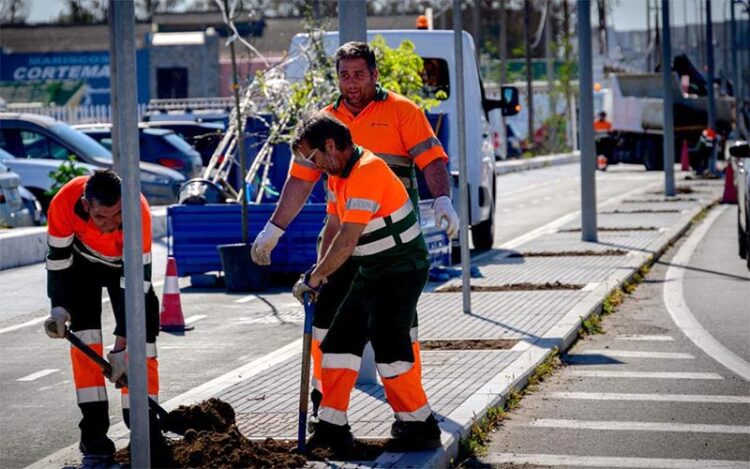 Operarios preparando la tierra para las plantaciones / FOTO: Ayto.