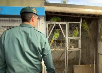 Agente entre jaulas / FOTO: Guardia Civil